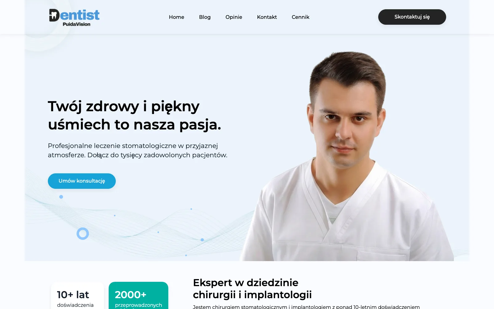 PuidaVision (PL)